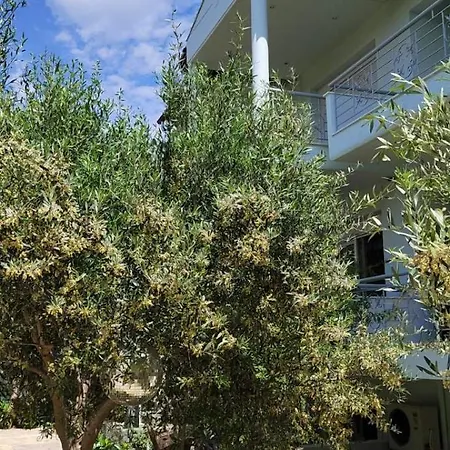 House Of Artemis E In Asprovalta * Thessaloniki